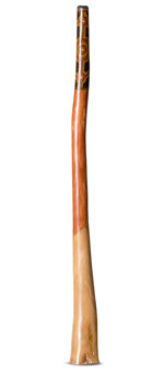 Jesse Lethbridge Didgeridoo (JL167)